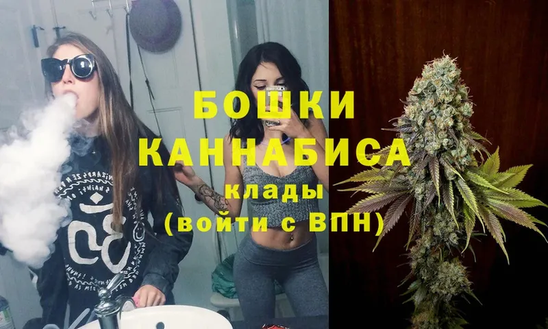 MEGA   Северск  Каннабис White Widow 